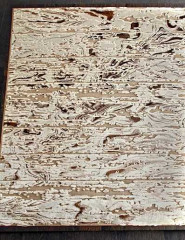 Ковёр BEHRAM YUTA 0T335RG-VIZO