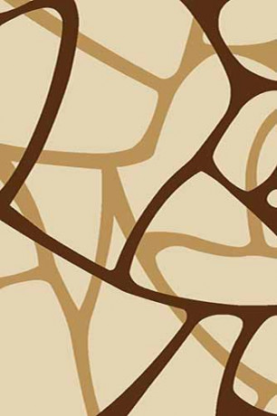 VISION DELUXE 21 Коричневый