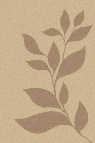 Прямоугольный ковер PLATINUM T647 BEIGE-D.BEIGE