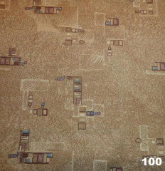 Палас ''Сириус Бежевый''