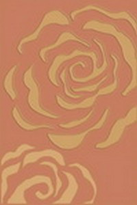 Premium Collection 24