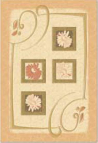 Premium Collection 27