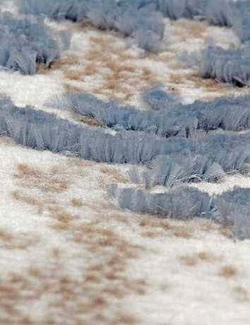 Турецкий ковер STYLE-N5337-031-BLUE-STAN