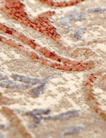 Турецкий ковер AMATIS-31183-070-STAN