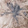 Турецкий ковер STAR-P0395-M-IVORY-D-BLUE-STAN