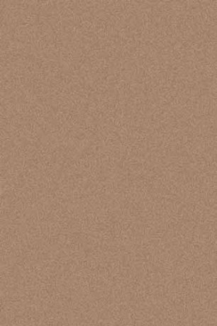 Прямоугольный ковер PLATINUM T600 D.BEIGE
