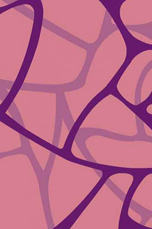 VISION DELUXE 21 Серый