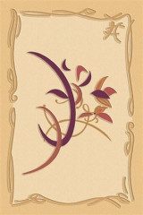 Premium Collection 5