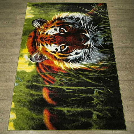 Ковёр FANCY 20709_22041