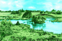 Ковер родные просторы №3