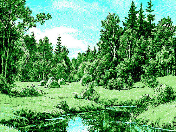 Ковер родные просторы №4