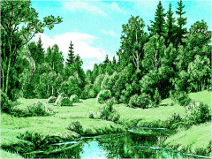 Ковер родные просторы №4