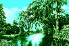 Ковер родные просторы №5