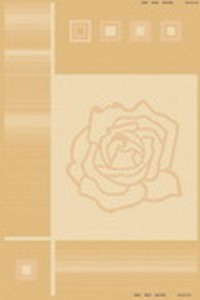 Premium Collection 12