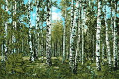 Ковер родные просторы №9